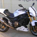 ZX-12R NakedNinja